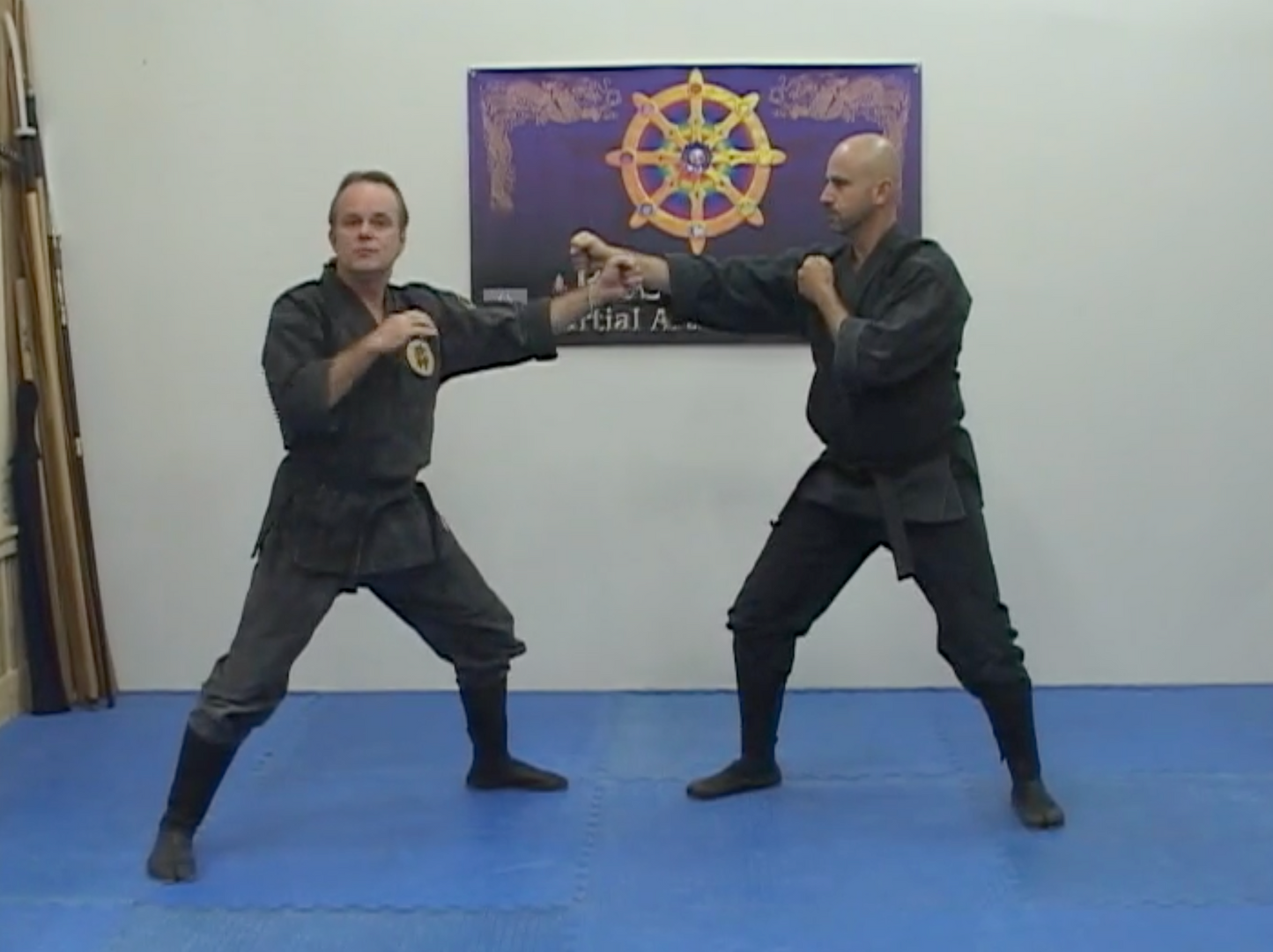 Kihon Happo DVD by Richard Van Donk