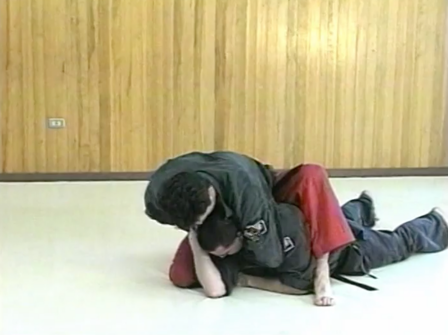 Combat Ninjutsu DVD by Richard Van Donk