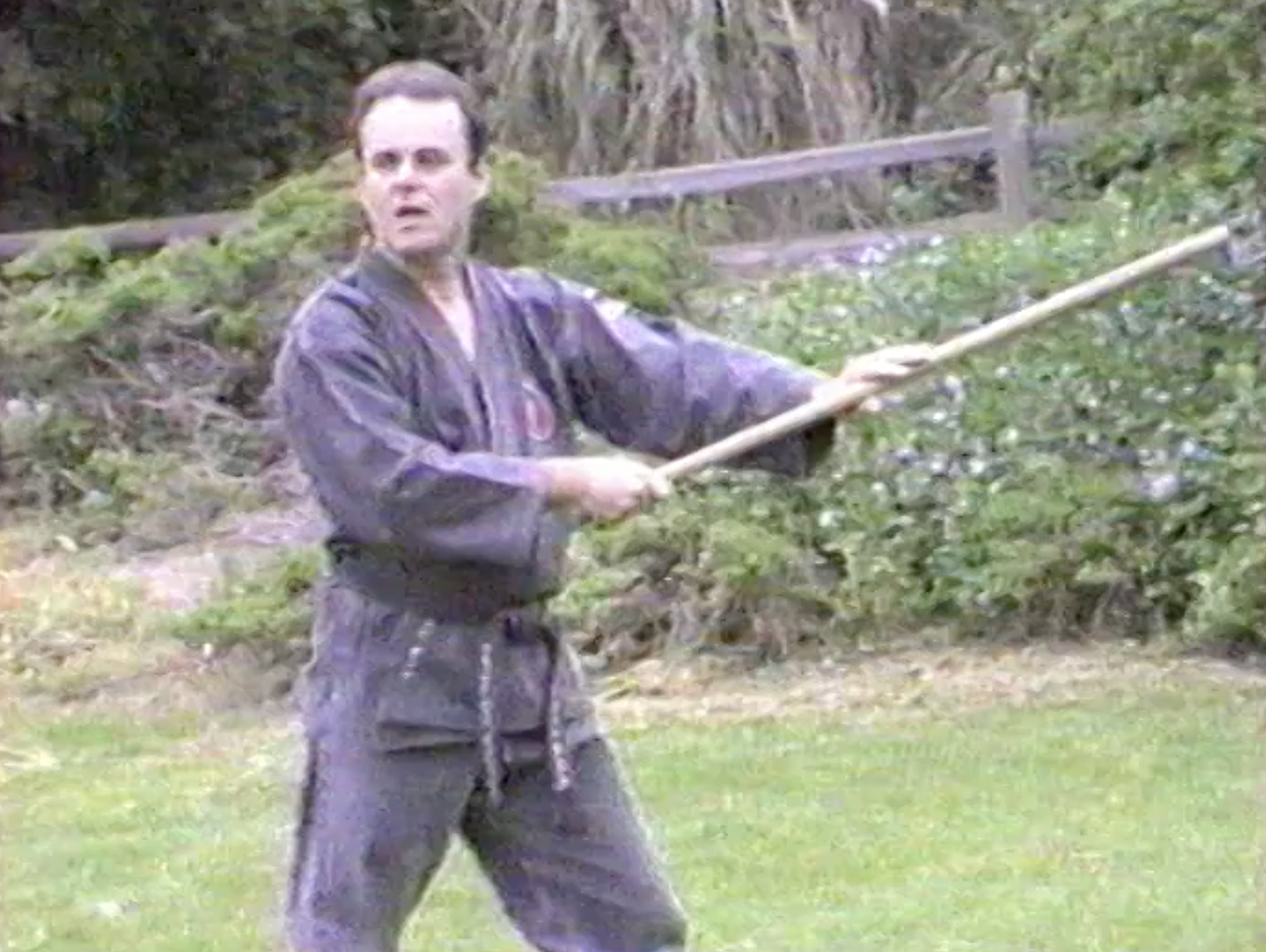Hanbojutsu DVD by Richard Van Donk