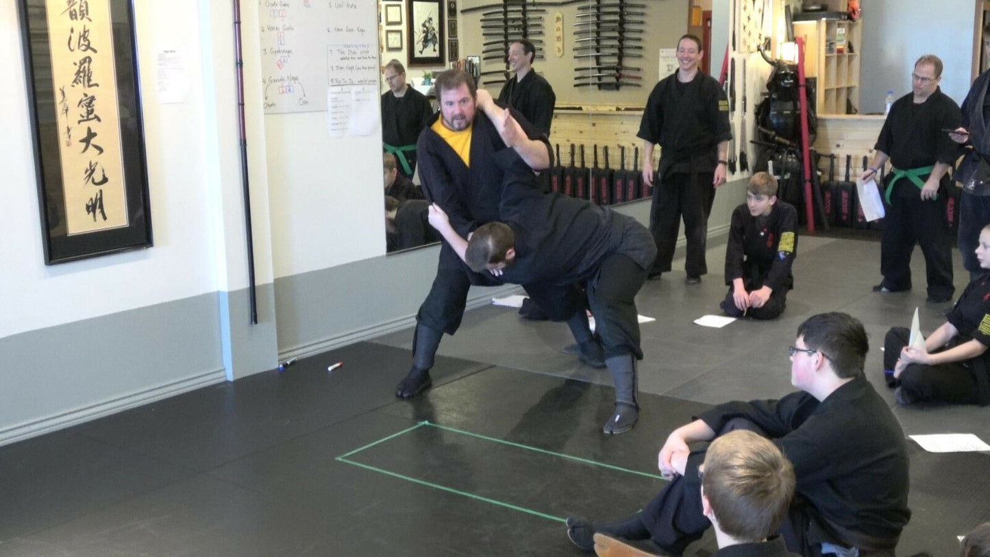 Fundamental Throws of Budo DVD with Todd Norcross