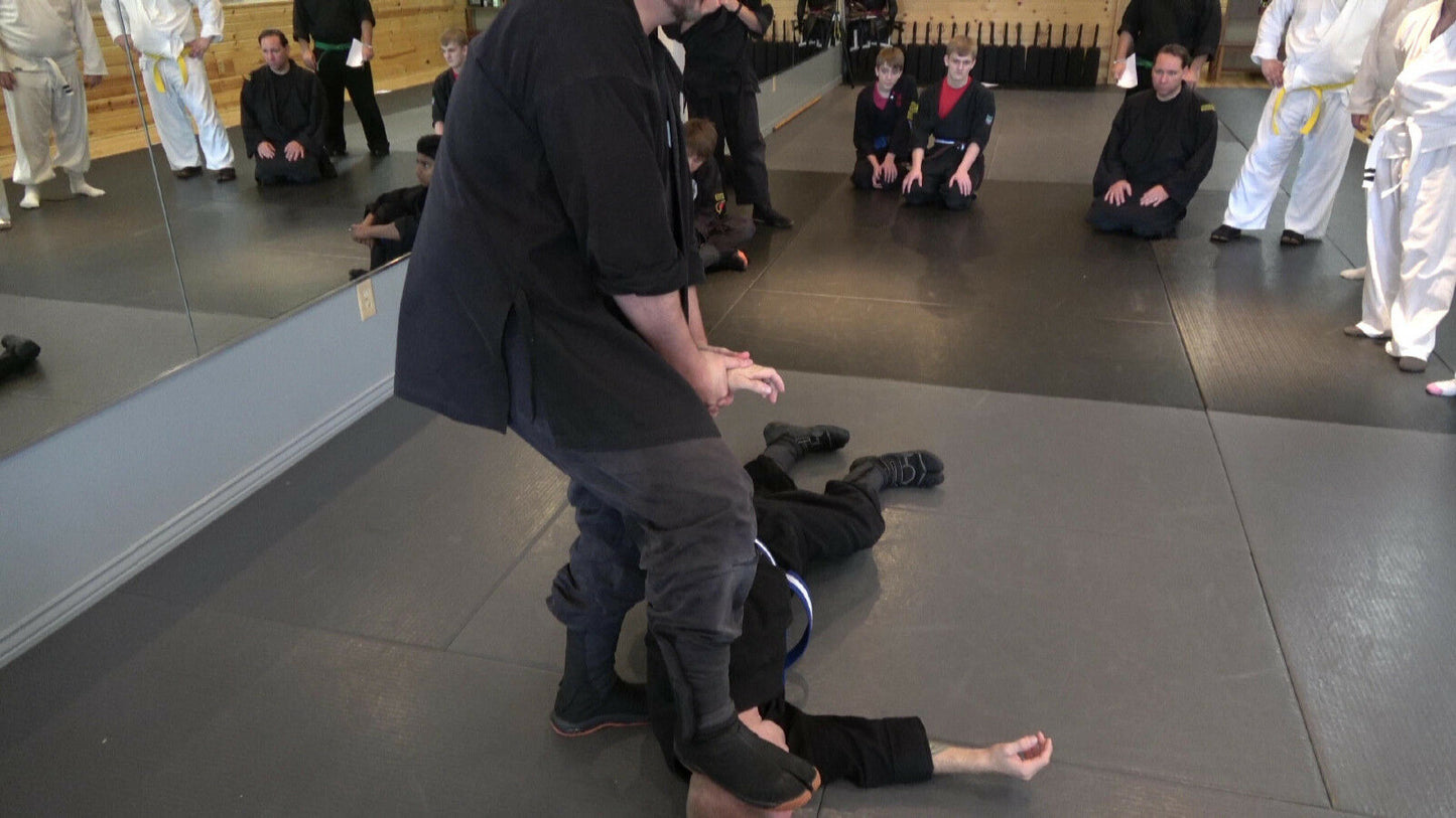 Ninjutsu Tap Outs & Finishes DVD with Todd Norcross