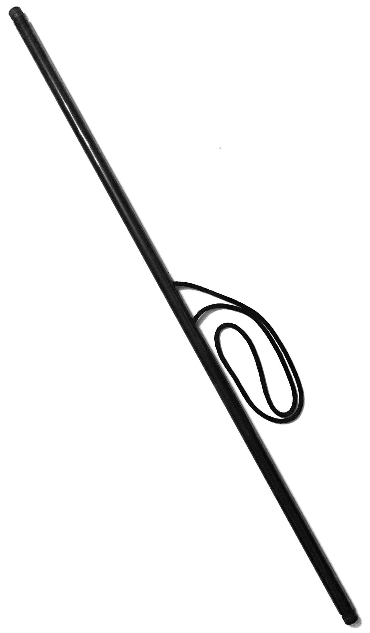 Ninja Shikomizue, Ninjutsu Shikomi Zue, Ninjutsu, Bujinkan, Budo Taijutsu and Ninpo, To Shindo, Genbukan, Jinenkan!