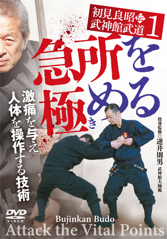 Bujinkan Budo: Attack the Vital Points DVD by Norio Sakasai