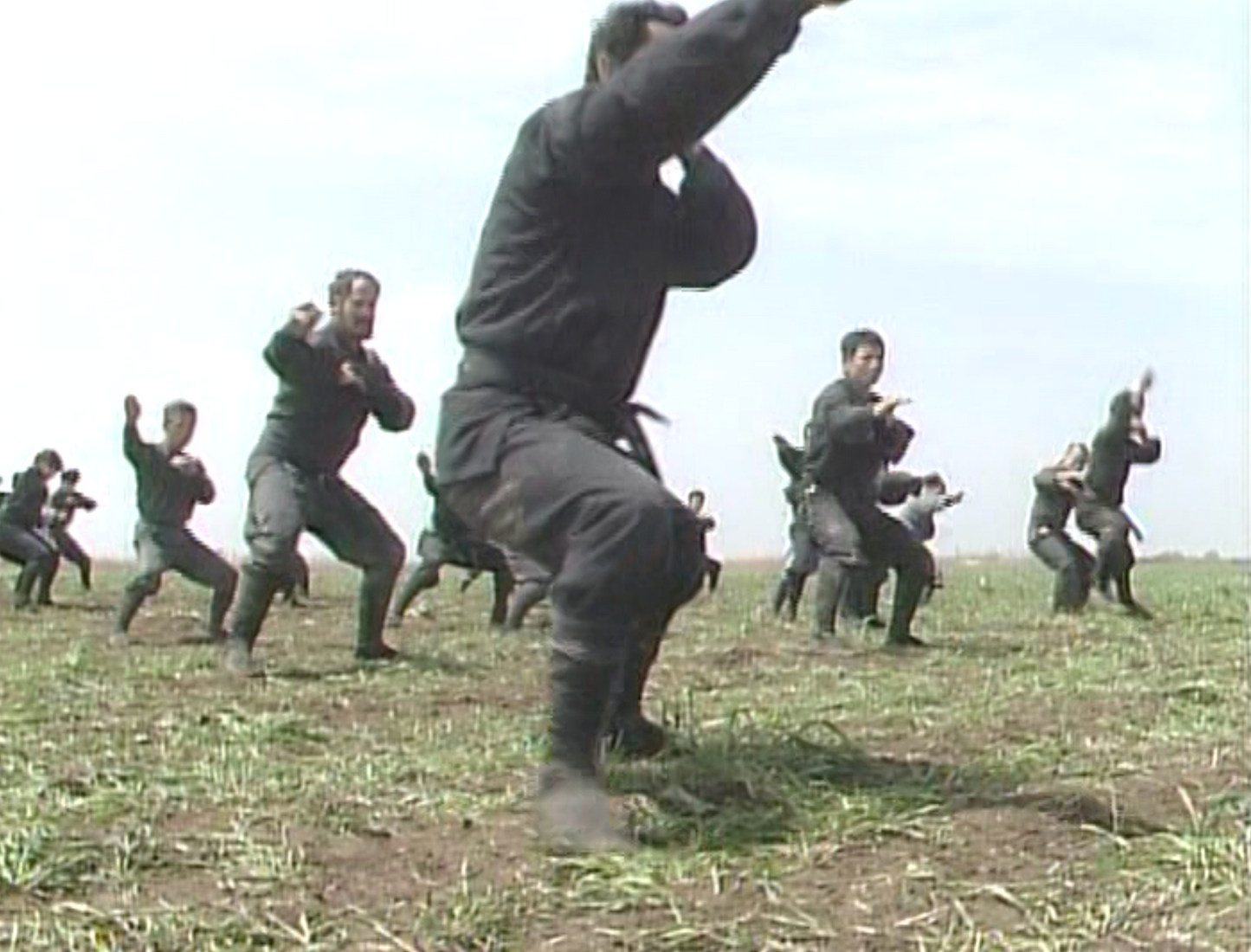 Togakure Ryu Ninpo Taijutsu DVD by Masaaki Hatsumi