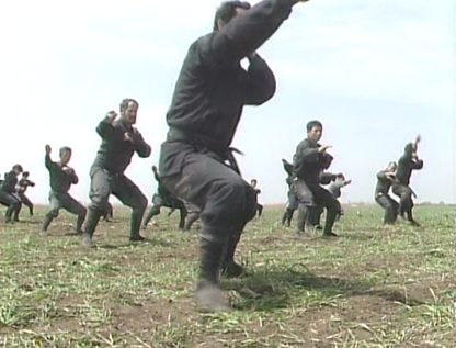 Togakure Ryu Ninpo Taijutsu DVD by Masaaki Hatsumi