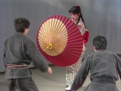 Togakure Ryu Ninpo Taijutsu DVD by Masaaki Hatsumi