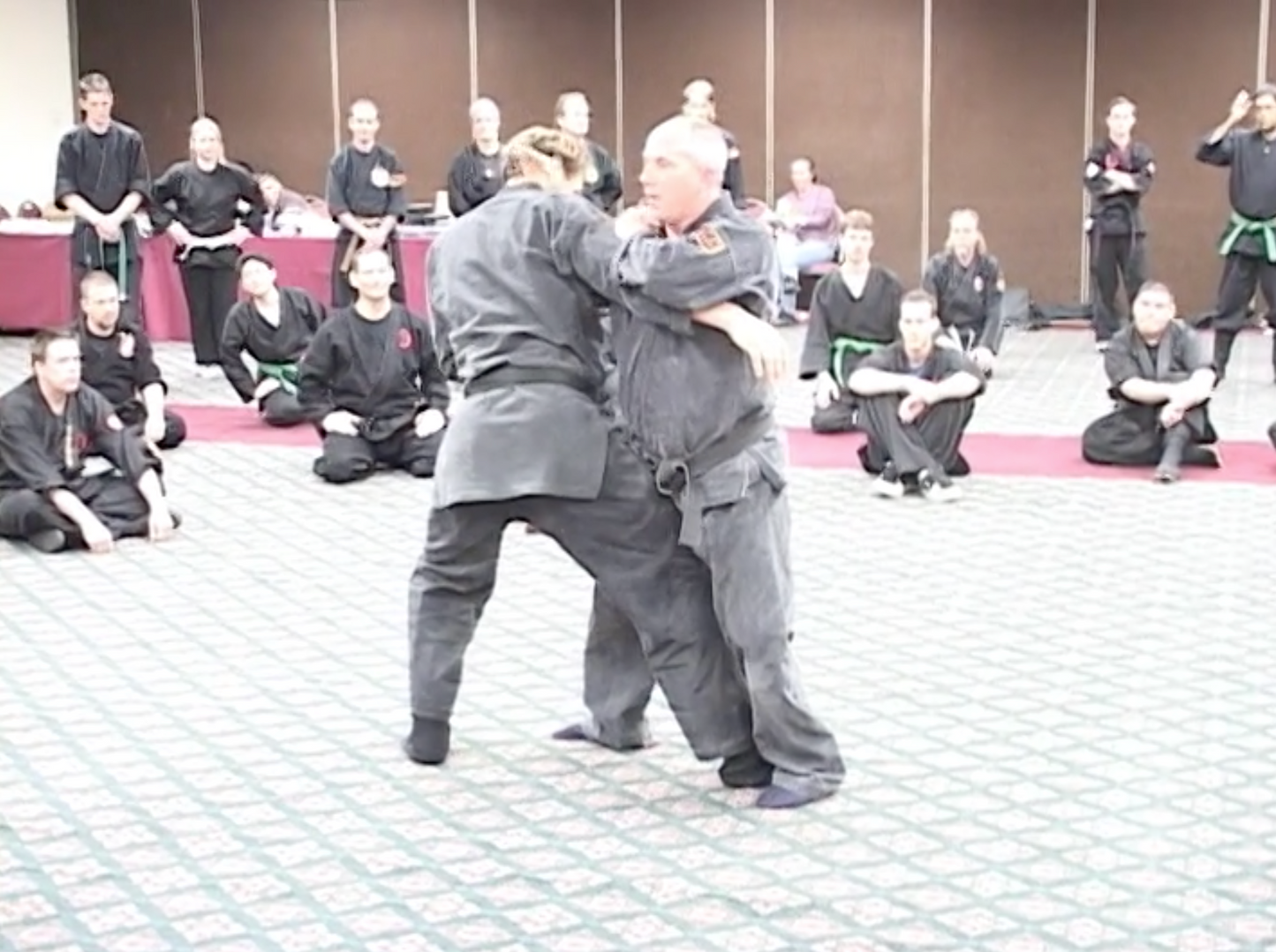 Taijutsu Integration Magic DVD by Richard Van Donk