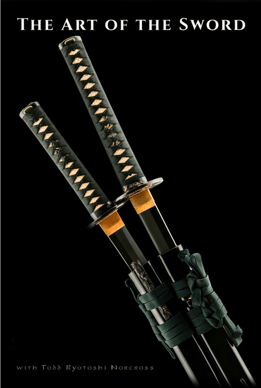 The Art of the Sword DVD with Todd Norcross